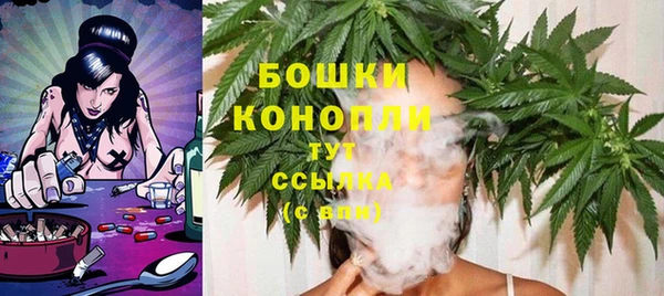 прущие грибы Волосово