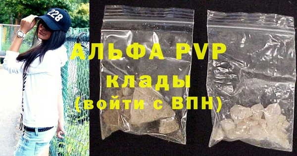 прущие грибы Волосово