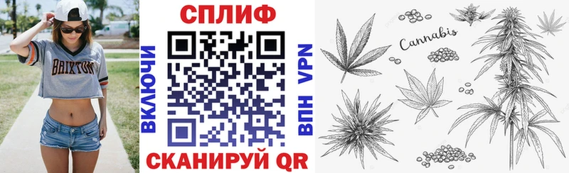 где можно купить   сайты даркнета официальный сайт  Марихуана White Widow  Петровск 